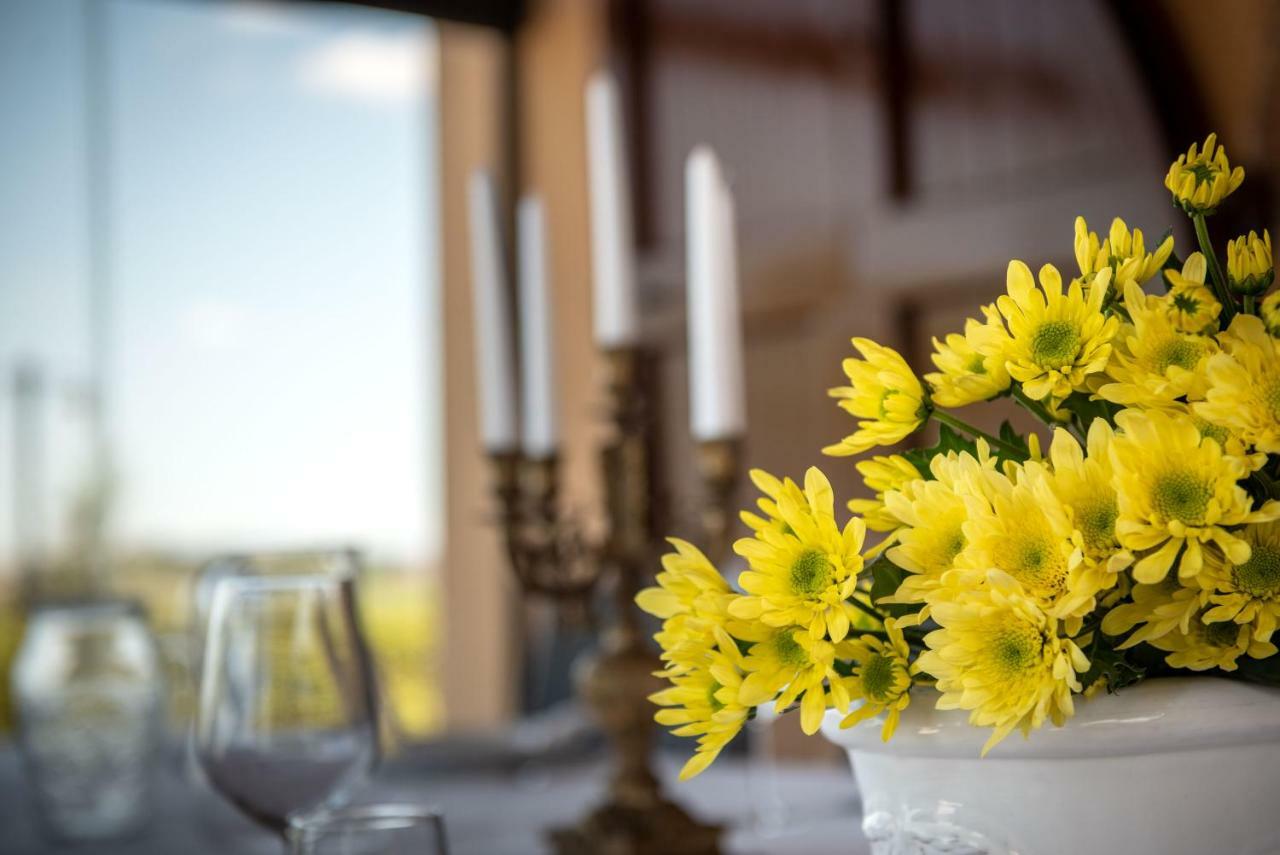 Agriturismo Casale Ugolini Montespertoli Kültér fotó