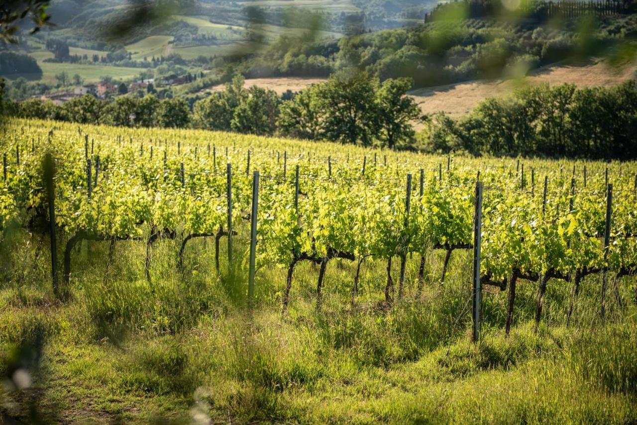 Agriturismo Casale Ugolini Montespertoli Kültér fotó