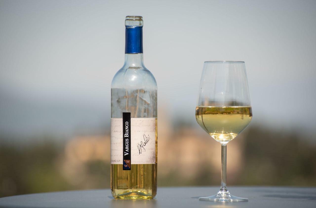 Agriturismo Casale Ugolini Montespertoli Kültér fotó